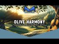 Olive harmony  strings of serenity enchanting acoustic guitar instrumentals  musifine