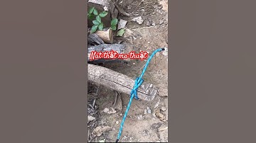 #41 Nút thắt kéo gỗ có ích trong cuộc sống hàng ngày #knot #diy #handmade #tutorial