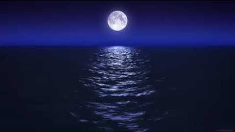 Sleep Music With Ocean and Jungle Sounds – Relaxing Blue Screen Scene – Ocean and Full Moon