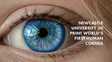 Newcastle University 3D Print World