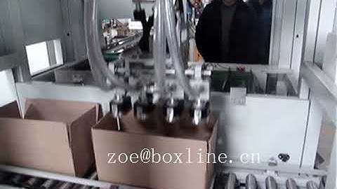 Eye Drop Sachet Bottle Food Cartoning Encasing Machine Automatic Packing Lines