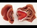 Chocolate Strawberry Roses HOW TO COOK THAT Ann Reardon