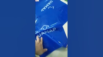 Plastic Bags Factory Wholesale Plastic Gift Shopping Bags With Logos Packaging Bags For Boutique