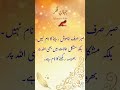 #Sabr Ka Phal Meetha Kyun Hota Hai? | Islamic Motivational Quotes Urdu