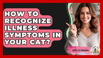 How To Recognize Illness Symptoms In Your Cat? - Happy Cat Handbook