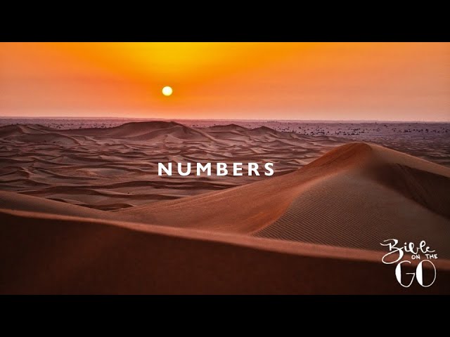 Exodus – And Then There Were... 300 Exodus – And Then There Were 300 | Releases | Discogs