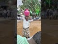 Winner moment Dance 🎵💃🏻❤️‍🔥 #pongalfunction #pongal #dancevideo #whatsappstatusvideo #millionviews