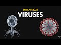 MDCAT 2025 Biology: Virus MCQs Quiz | Ace Your Exam!