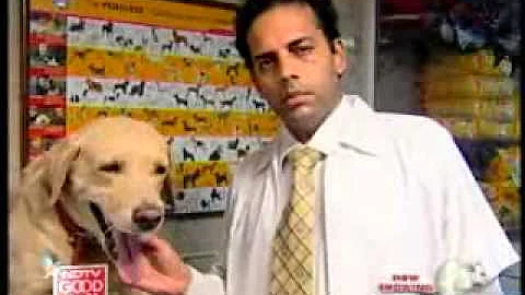 Veterinary Dr Jairam of Pluto Pet Clinic