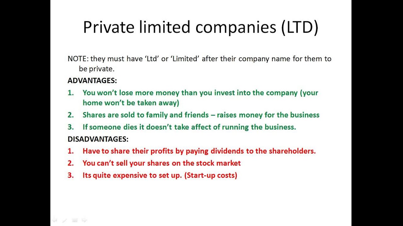 Public Limited Companies Advantages And Disadvantages