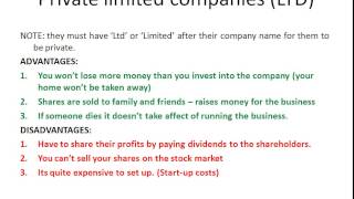 What are the advantages and disadvantages of private limited companies?