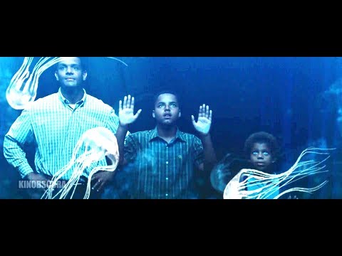 Seven Pounds 2008 A Box Jellyfish