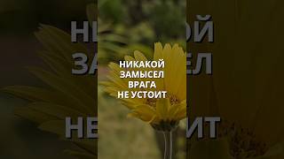 БОГ ОБРАЩАЕТ ЗЛО ВО БЛАГО #shorts