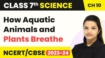 How Aquatic Animals and Plants Breathe - Respiration in Organisms | Class 7 Science Chapter 10