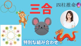 【四柱推命】三合とは？誰もが知っている有名人の命式をお借りして解説しています✨