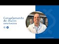 Congelamento de óvulos: quando considerar e como funciona