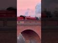 6989 crosses over Imberhorne Viaduct! #trainspotter #traintok #steamlocomotive #heritage #fyp