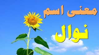 ارشيف الاسماء |  🌹 / Nawal !!! 💞❤️💕 معنى اسم نوال وصفات حاملة هذا الإسم