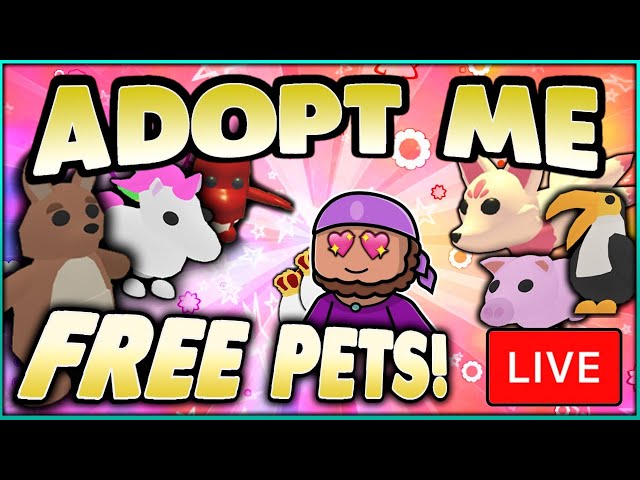 adopt me pets for mm2 stuff discord｜TikTok Search