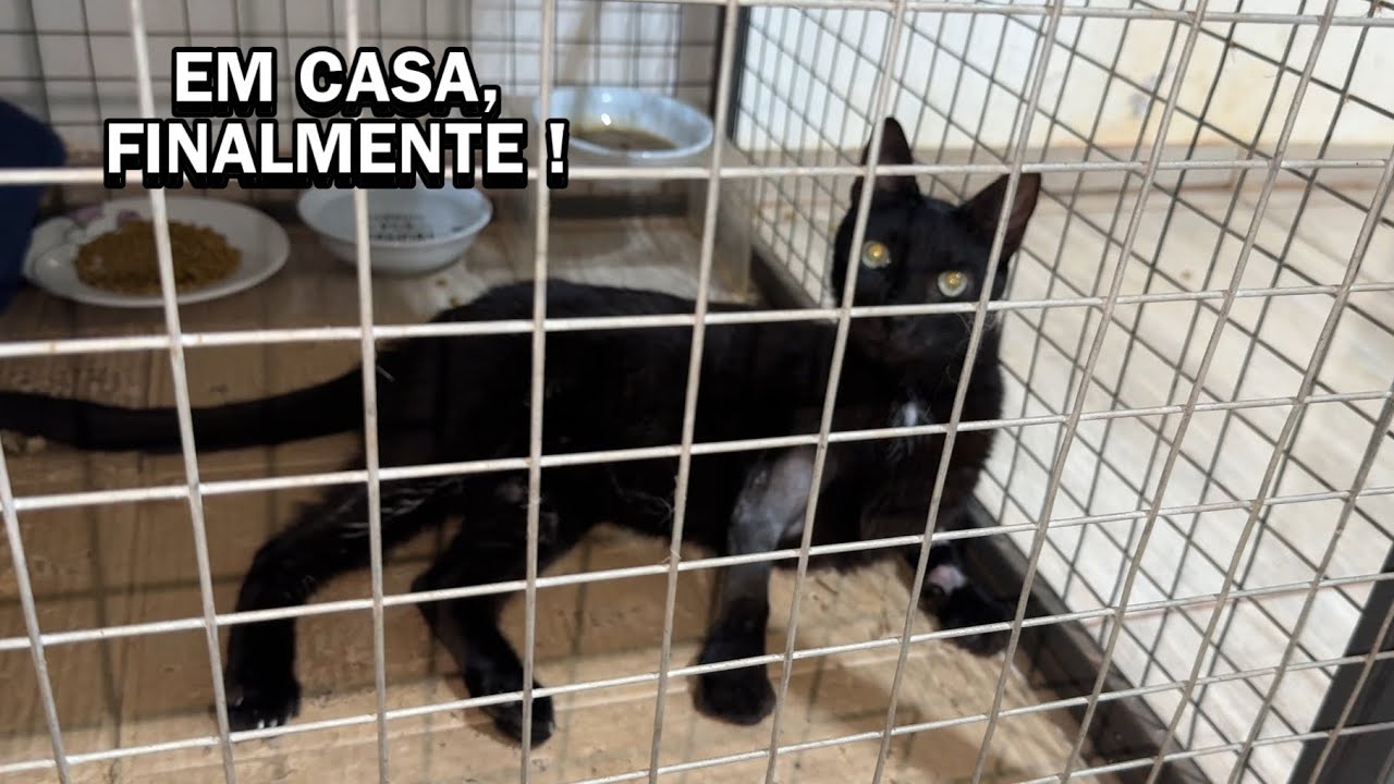 Juninho recebeu alta da clínica, para se recuperar em casa 😄  !!!!