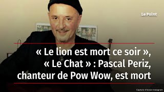 « Le lion est mort ce soir », « Le Chat » : Pascal Periz, chanteur de Pow Wow, est mort