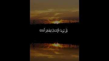 لا أقسم بيوم القيامة ولا أقسم بالنفس اللوامة/ الشيخ سعد الغامدي/ سورة القيامة #