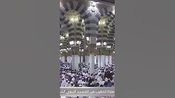 تحبير جميل لسورة ( الهمزة) ترتيل الشيخ: أحمد بن طالب حفظه الله.