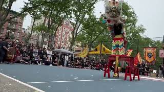 Dragon Lion Day Festival 2024 | Tai Look Lion Dance