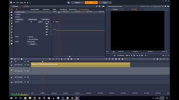 Time Remapping problem Pinnacle Studio 21