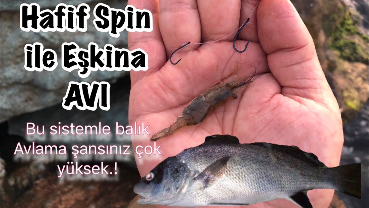 Eskina Avi Hafif Spin Bu Sistemle Balik Avlama Sansiniz Cok Yuksek Your Chance Of Fishing Is Toohigh Youtube