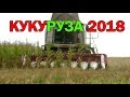 [Уборка кукурузы] ПАЛЕССЕ GS12, CLAAS Lexion 580, YAROVIT Gloros