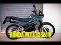 Honda mtx 125 survival!!!