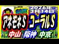 競馬 JRAレース予想ライブ アネモネＳ コーラルＳ 中山 阪神 中京