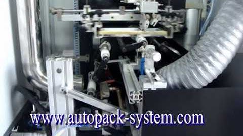 S103 auto bottle screen printer with big bowl feeder