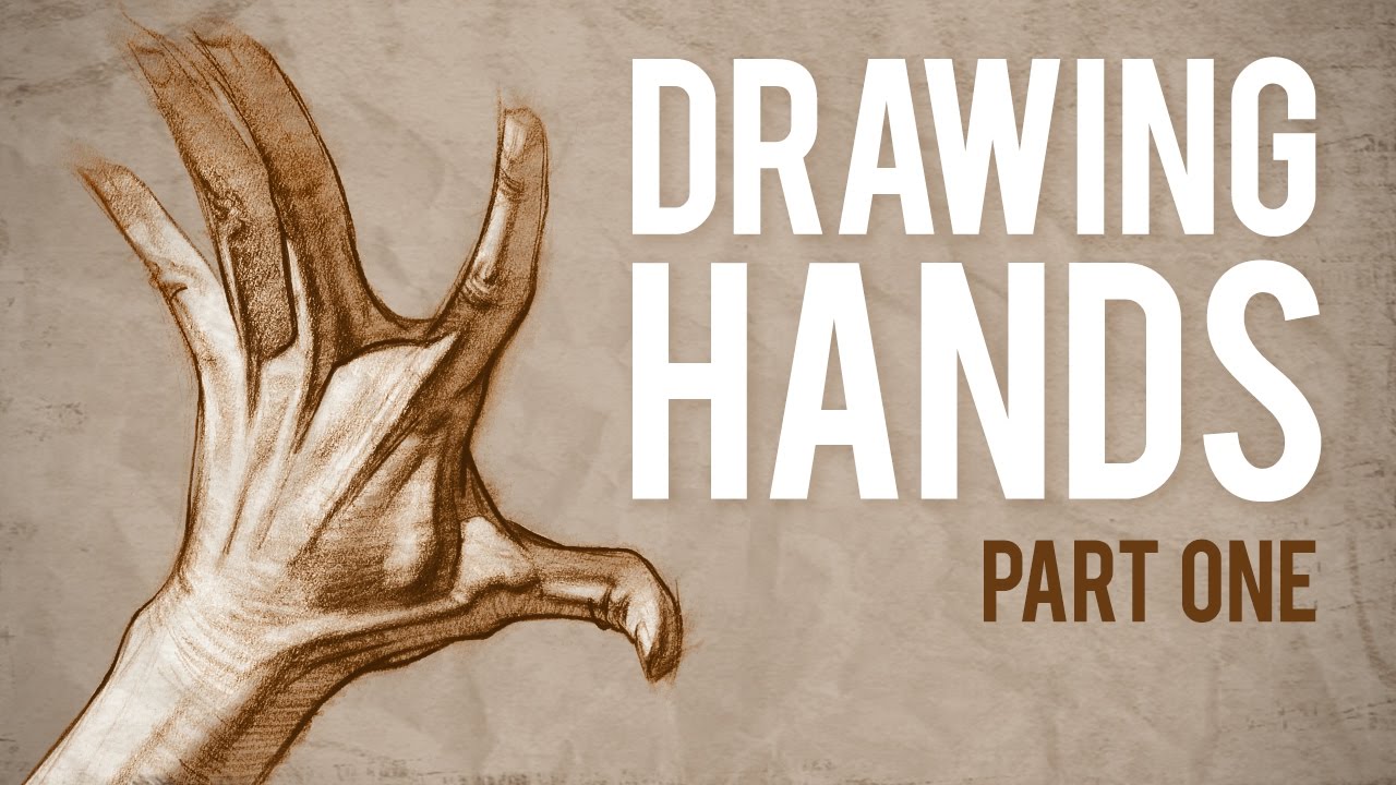 How to Draw HANDS - Muscle Anatomy of the Hand - YouTube