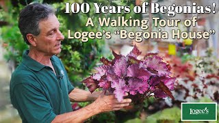 100 Years of Begonias! A Tour of Logee's Famous 'Begonia House'