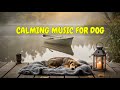Separation Anxiety Dog Sleep Music for Calm Nights 🐶💤 | 12 HOURS of Soothing Therapy for Pets