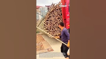 Bamboo delivery: unloading a truckload of bamboo