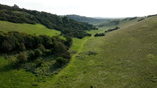 Nature Recovery Network: Seaford to Eastbourne Nature Recovery Project