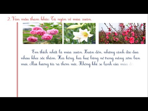 Video TẢ BỐN MÙA TRONG NĂM - youtube