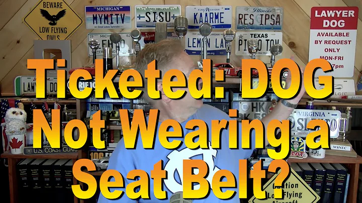 Ticketed: DOG Not Wearing a Seat Belt?