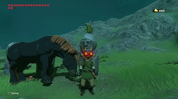 [DAY 669] of finding one korok seed everyday until Totk comes out