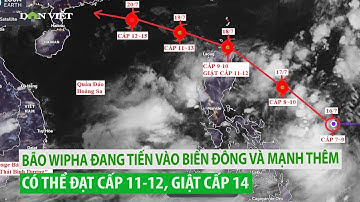 NÓNG: Bão WIPHA đã chính thức đi vào biển Đông, thành bão số 3, đang lao thẳng hướng vịnh Bắc Bộ