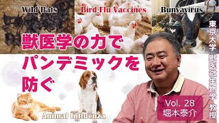 Prevent Pandemics Using Veterinary Medicine: Developing Bird Flu
