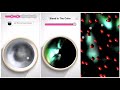 I prepared Magic Aurora slime and this was the result 