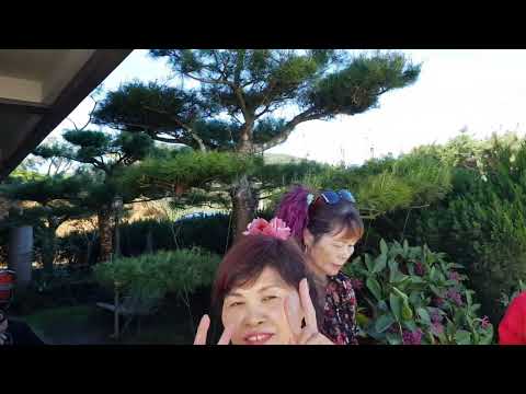 張秀鈴2021太平山茶園