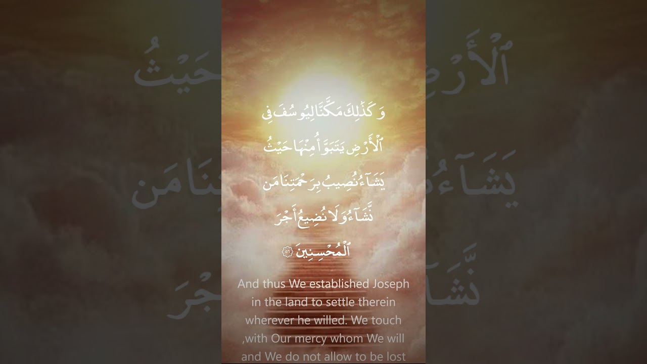 بعد الصبر يأتي التمكين الجميل 🕊️✨ | #shorts