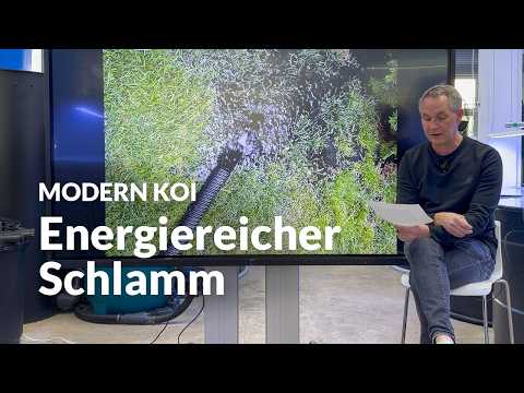 Kann ich meinen Garten mit Filterschlamm düngen ? | Modern Koi Blog #8046