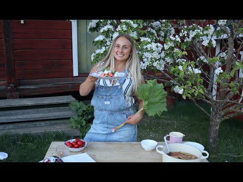 Video: Bästa Sommargelé Efterrätt