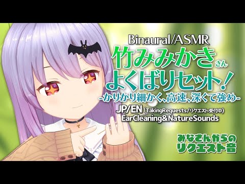 【ASMR】竹耳かき欲張りセット！と癒やされる色々なASMR音さん/Many ASMR Sounds#331【エルゼ/ポラリス流星群】